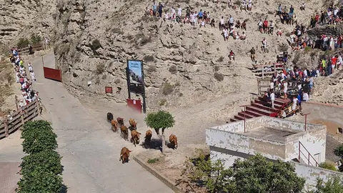 Encierro del Estrecho 3