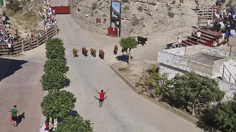 Encierro del Estrecho. Vacas en Arguedas (43)