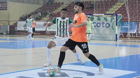 cordoba atp iluminacion tudelano ribera navarra