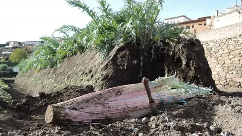 jornadas_cardo_rojo_3-crop