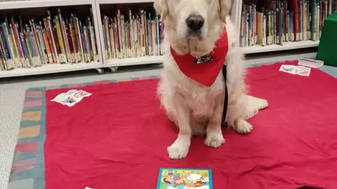 411374800_760697032754384_6840083380339079401_n