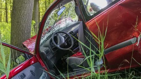 Vehículo se sale de la vía y choca contra un árbol. Imagen twitter noticiasgob_na