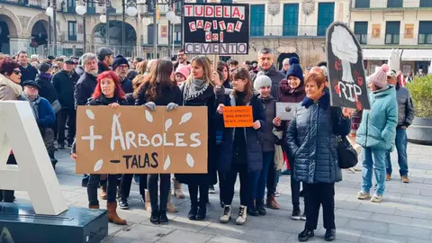 marcha contra tala de arboles