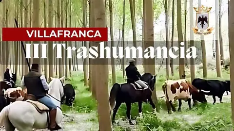 Programa Trashumancia 2024 en Villafranca