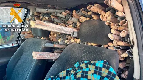 Postes metálicos de emparrado de viña