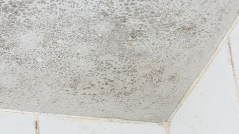  La sorprendente relación entre las humedades y las alergias que nadie conoce 