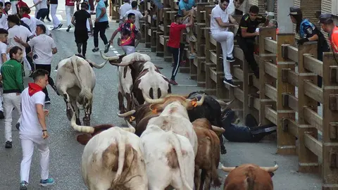 primer encierro de las fiestas de Tudela