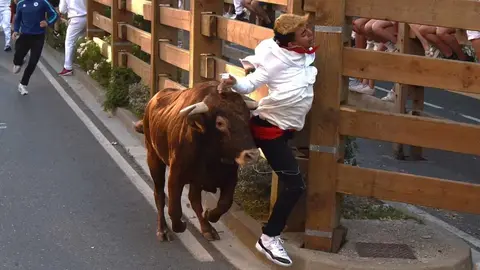 Secuencia de la cogida a un joven tudelano en el primer encierro de las Fiestas de Santa Ana 2024 (2)