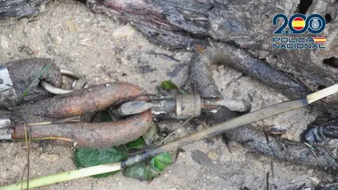 Mecanismo con el que habían sido atados los dos perros entre sí antes de ser arrojados a una acequia en Calatayud