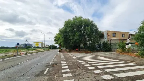 Inicio de las obras de la rotonda del nuevo Mercadona de Tudela que se ubicará en la antigua fábrica de Cereales Pardo