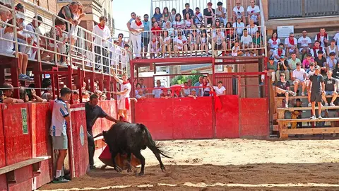 cogida durante la suelta de novillas bravas en Murchante
