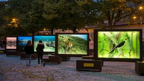 Tudela acogerá la exposición 'De Polo a Polo'