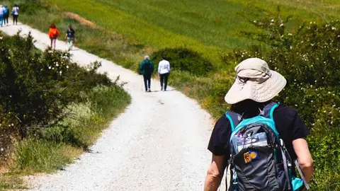 Peregrinos Camino de Santiago