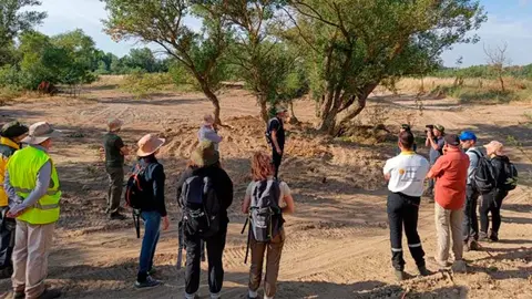 Segunda fase de los trabajos en el meandro del Soto de Alfaro