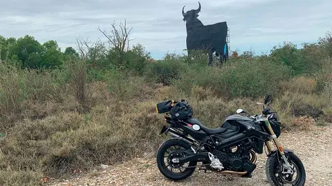 toro de osborne tudela