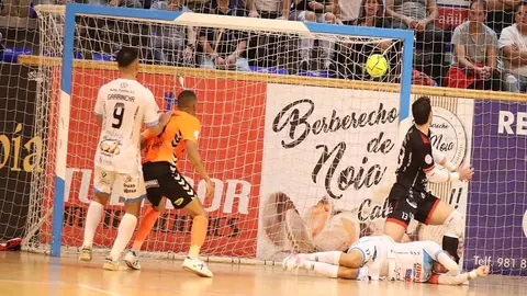 noia tudelano ribera navarra