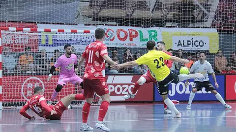 tudelano ribera navarra elpozo