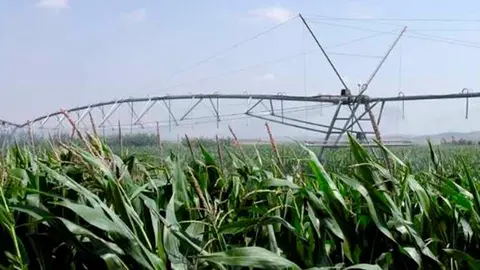 digitalización regadíos