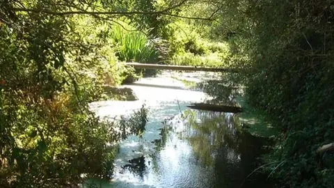 Rio Huecha a su paso por Cortes, Navarra