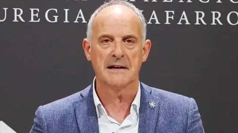 Adolfo Araiz, Parlamentario EH BIldu