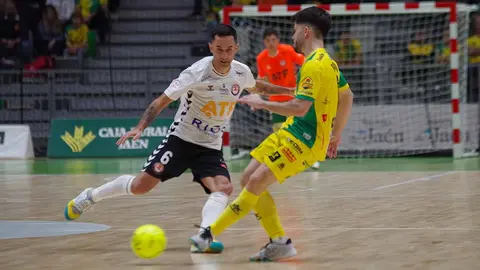 jaén paraíso interior tudelano ribera navarra