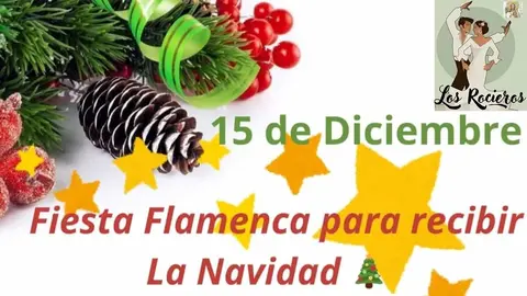 fiesta flamenca navidad tudela
