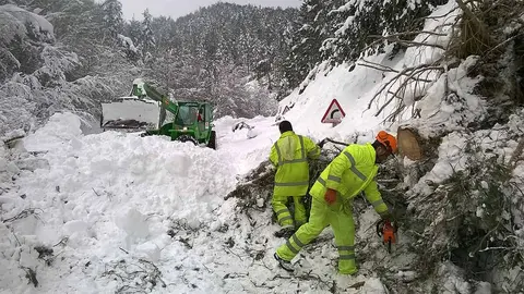 Labores de limpieza y retirada de árboles caídos en una carretera afectada por la nieve.