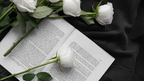 Rosas blancas acompañadas de un libro. Foto: Freepik
