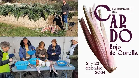 jornadas cardo rojo corella