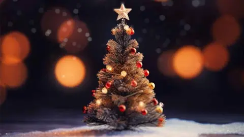 fontellas programa navidad