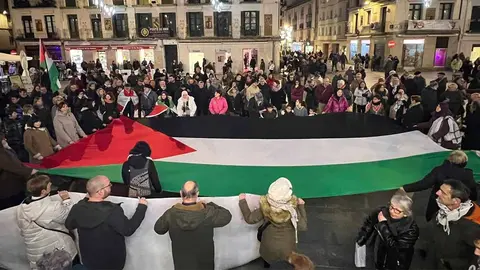 manifestación yala nafarroa de la ribera (4)