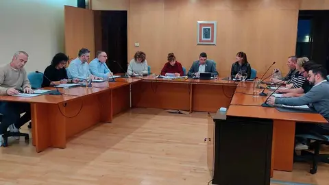 pleno ayuntamiento ribaforada