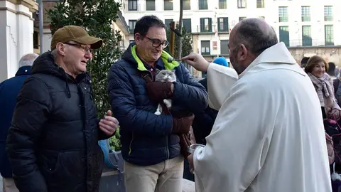 fiesta san anton tudela 2025 (2)