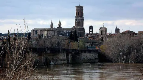 vista de tudela desde el puente del ebro (3)