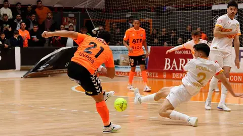 tudelano ribera navarra santa coloma