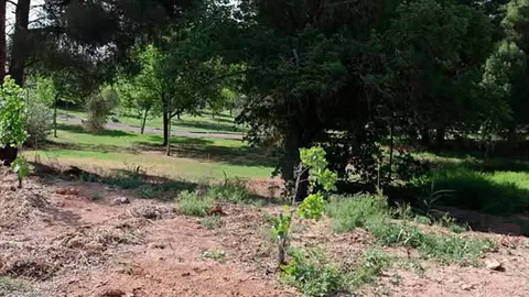 Parque Padre Baztán