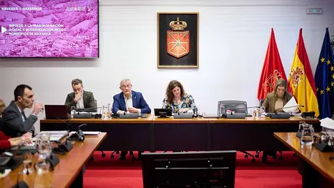 Luis Campos y el vicepresidente Félix Taberna, en su comparecencia de esta mañana en la Comisión de Presidencia e Igualdad del Parlamento de Navarra
