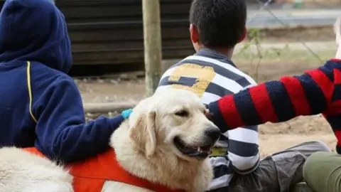 terapia con animales tudela