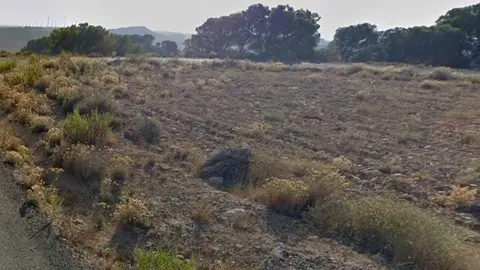 terreno comunal tudela