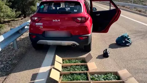 corella marihuana guardia civil