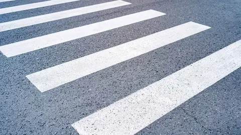 paso de cebra. Foto: Freepik