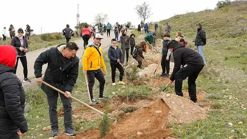 arguedas día del árbol