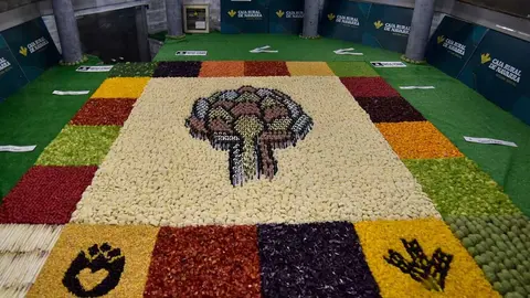 Fiestas de la Verdura 2025 (2)