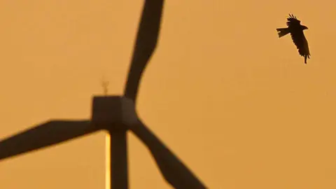 premio medio ambiente maría inmaculada ibáñez josé antonio pinzolas