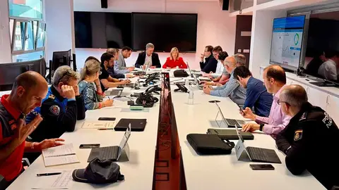 comité asesor de emergencias navarra