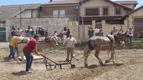 Fotos Trashumancia en Buñuel 2025 (28)