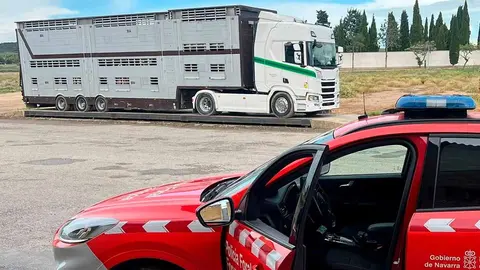 camión ganado bovino valtierra