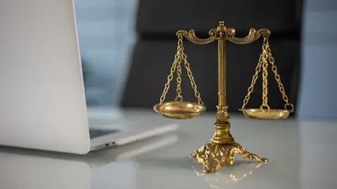 ¿Son legales las semillas de CBD en España?: Todo lo que debes saber
