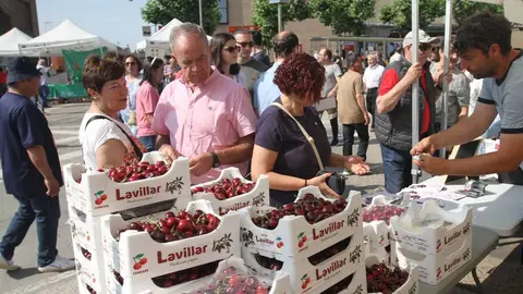 24º Fiesta de la Cereza de Milagro 2025
