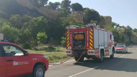 incendio declarado en un pinar próximo a Falces